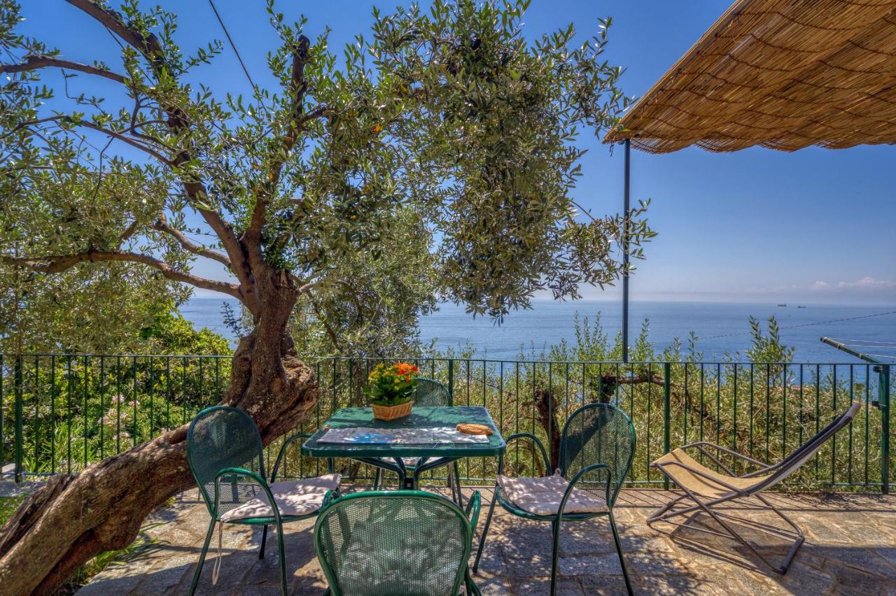 Villa Solaria - B&B Sori