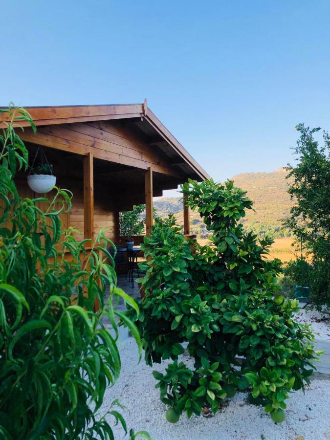 B&B Agios Theodoros, Larnaca - Happy Glamping Cy - Bed and Breakfast Agios Theodoros, Larnaca