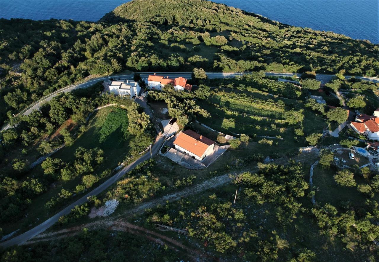 Guesthouse Villa Brestova - B&B