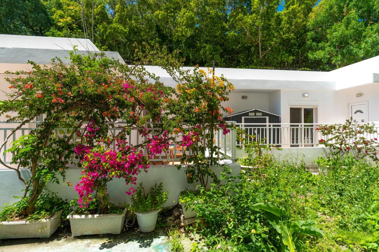 Oasis in the Heart of Rhodes, next to Old Town, near Beaches - Haven Home - Chambres d’hôtes Rhodes