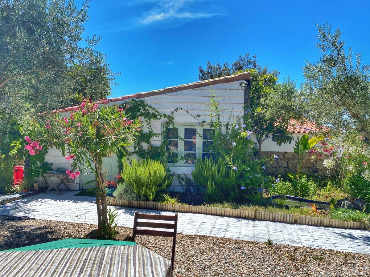 Bungalow Deluxe con vistas al jardín