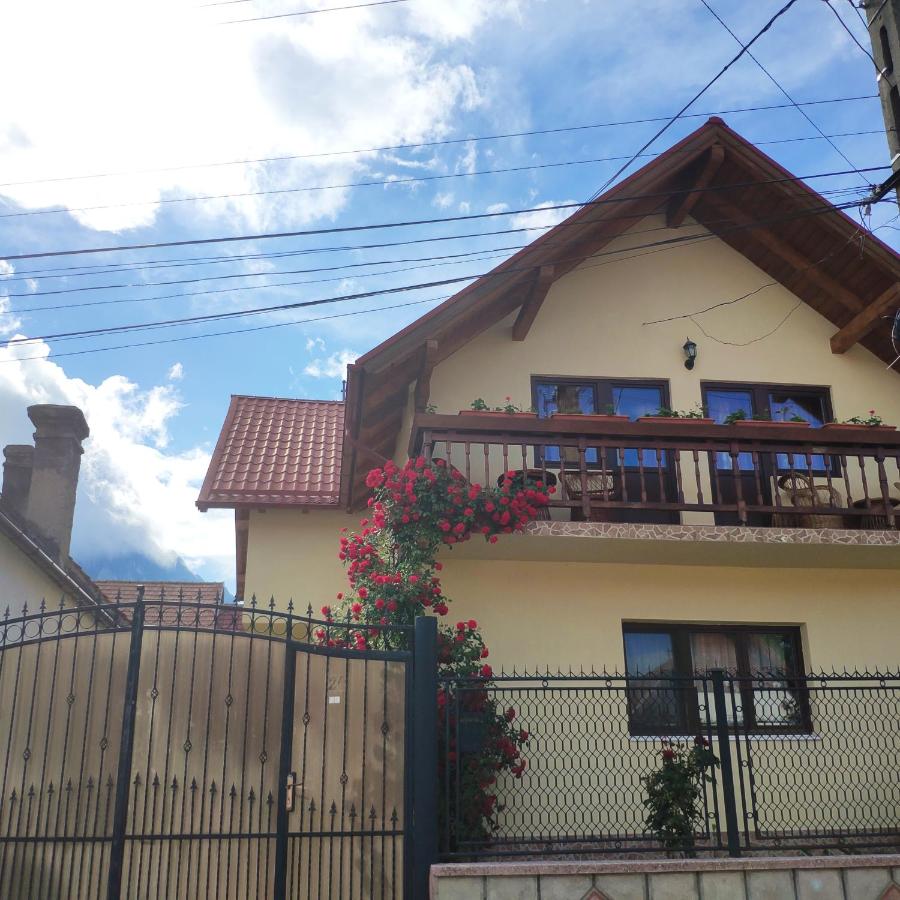 B&B Zărnești - Casa Piatra Craiului - Bed and Breakfast Zărnești