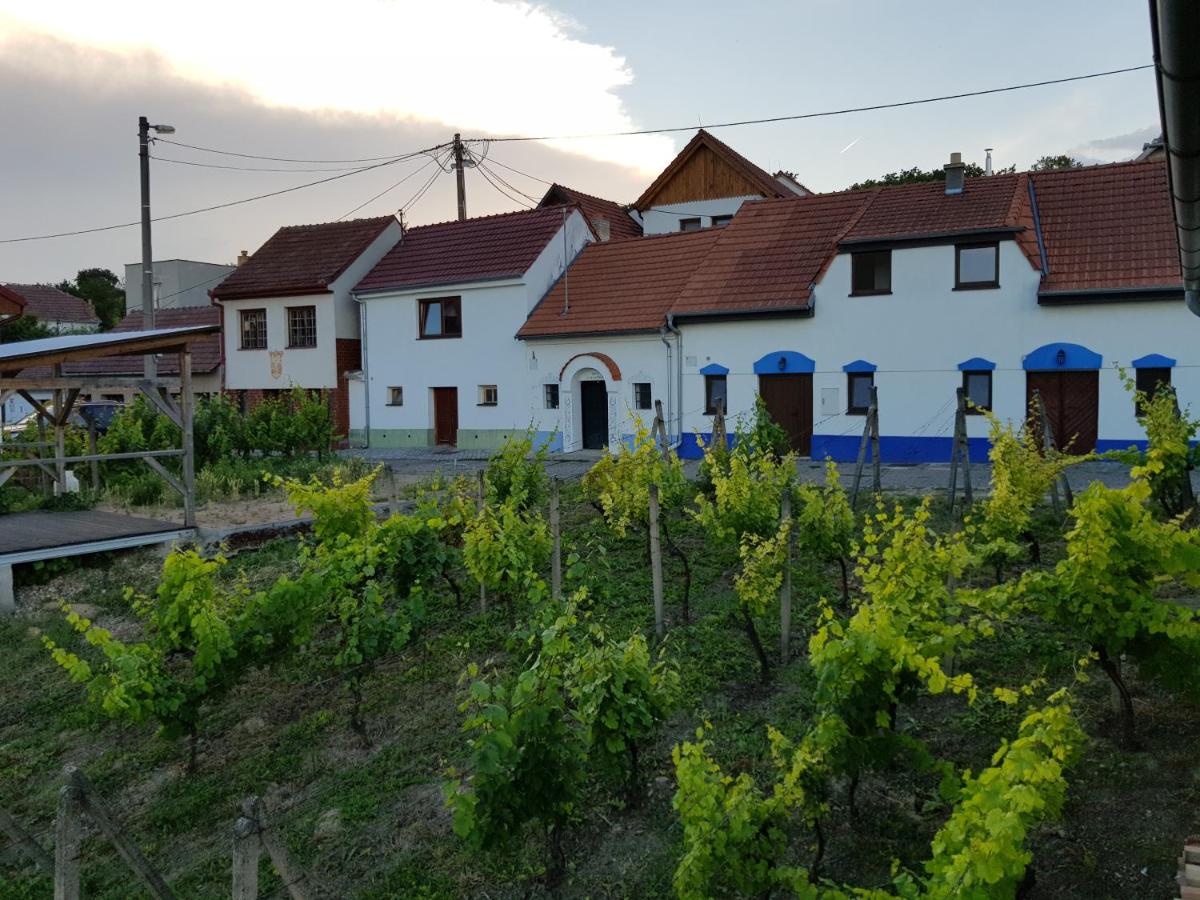 B&B Bořetice - Vinný sklep Kraví Hora Bořetice - Bed and Breakfast Bořetice