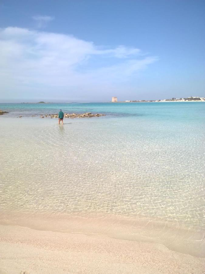 Porto Cesareo Appartamento a 300 metri dal mare - Chambres d’hôtes