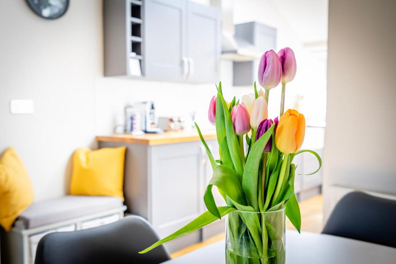 3 Darnborough Street - Ferienwohnung York