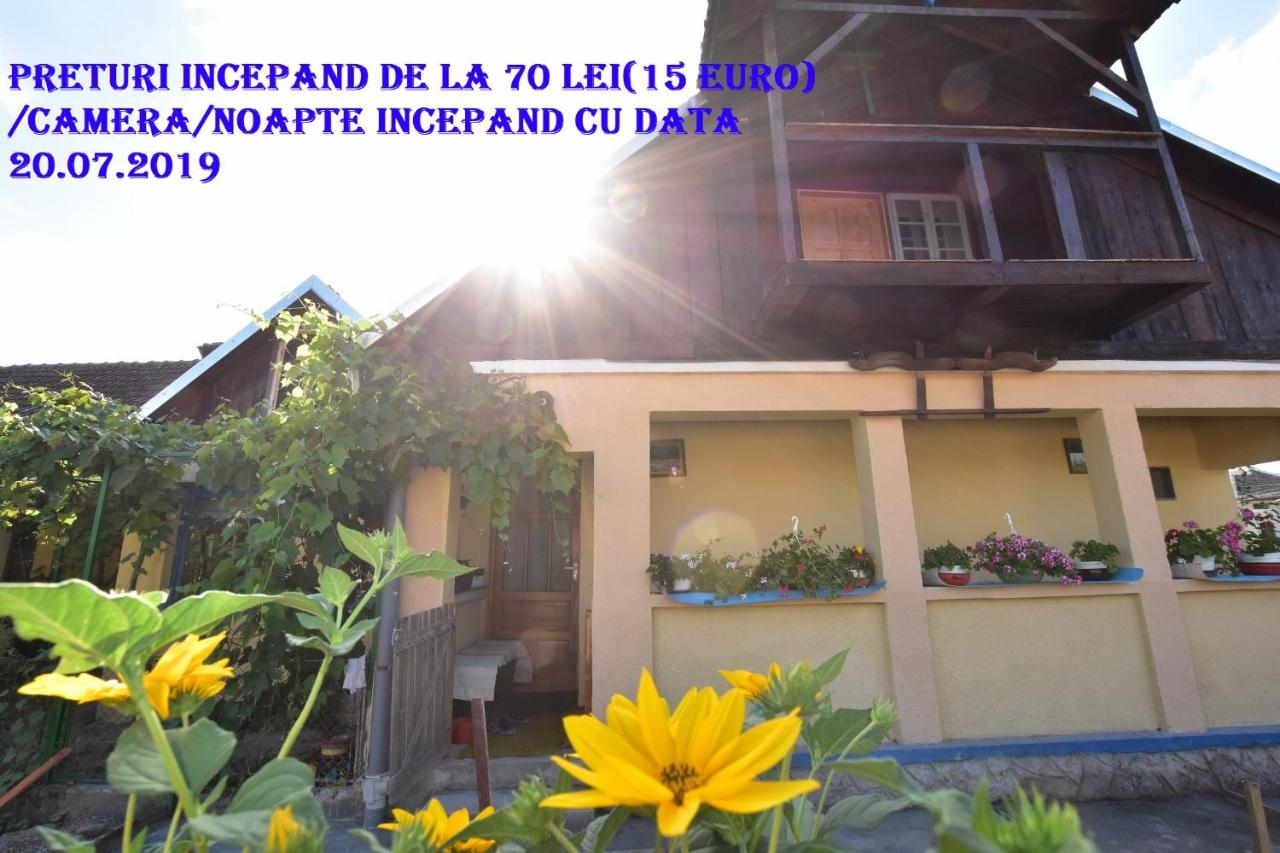 Casa Traditionala Ardeleana - Chambres d’hôtes Mădăras