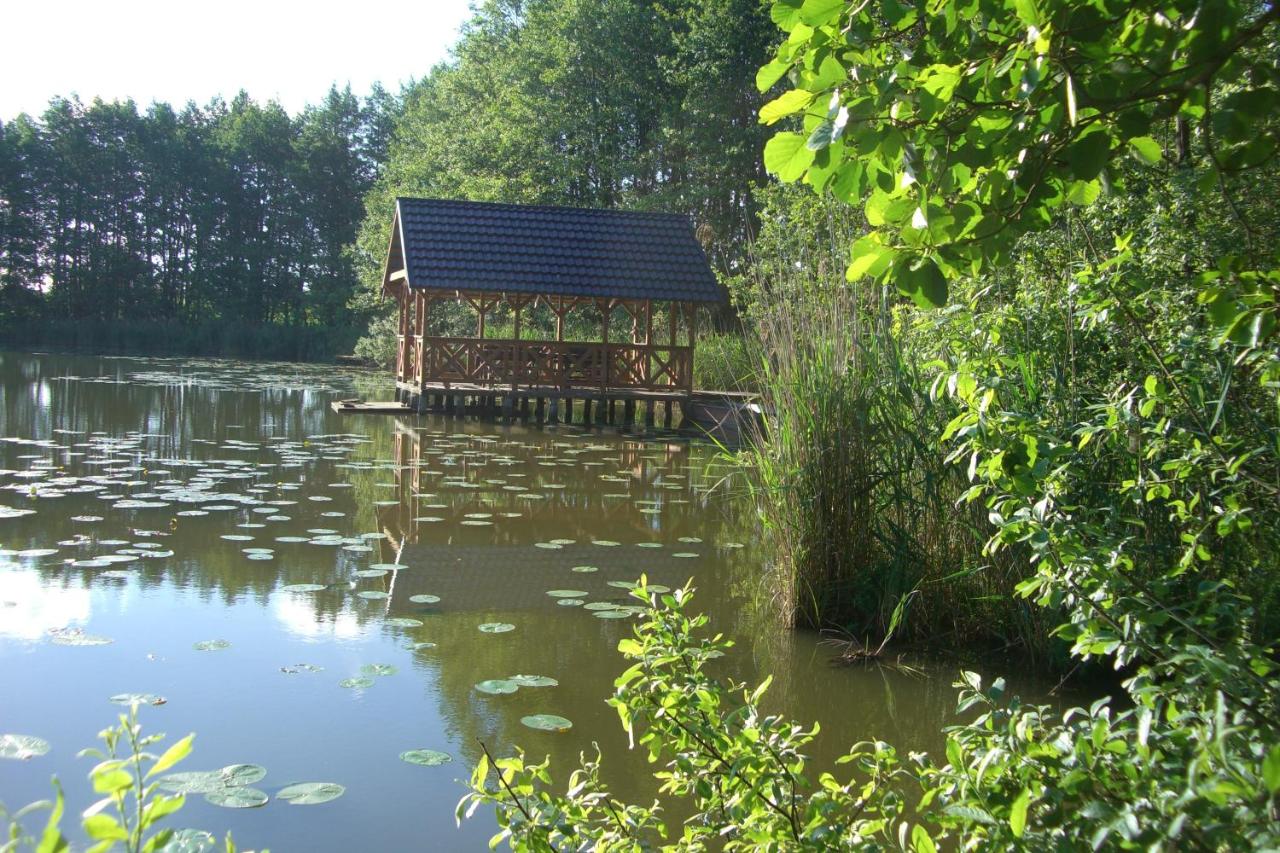 Dom Parlinek agroturtstyka wędkowanie sauna jacuzzi - B&B