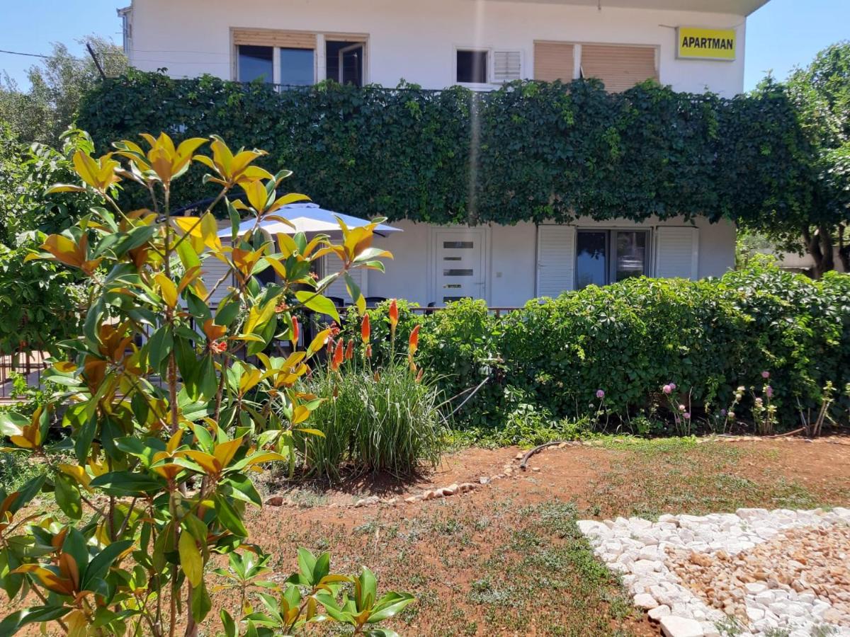 Apartments Iris - Ferienwohnung Marina