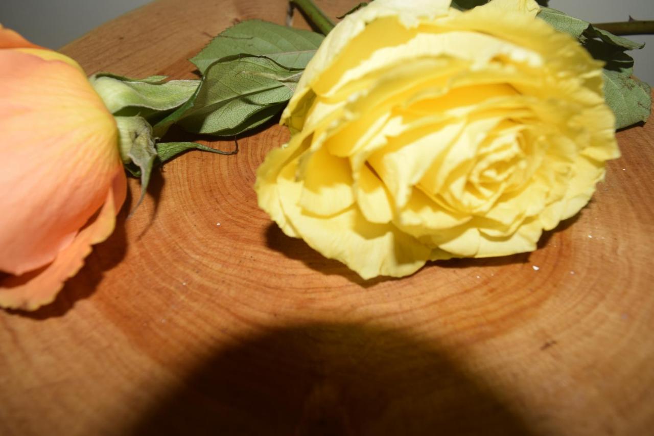 Casa de 2 dormitorios