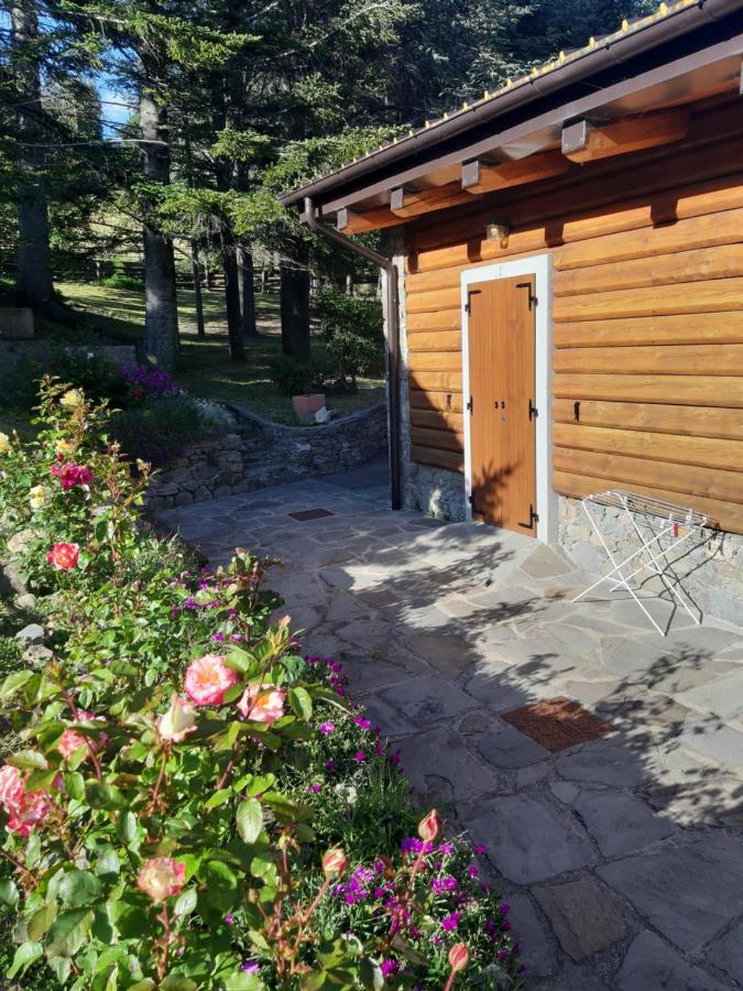 Trout Lodge - Ferienwohnung Collagna