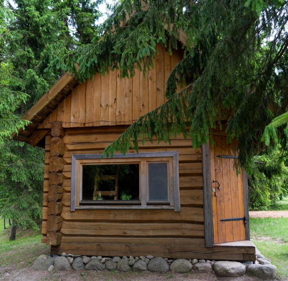 Ansomäe Puhkeala Järvemaja - B&B