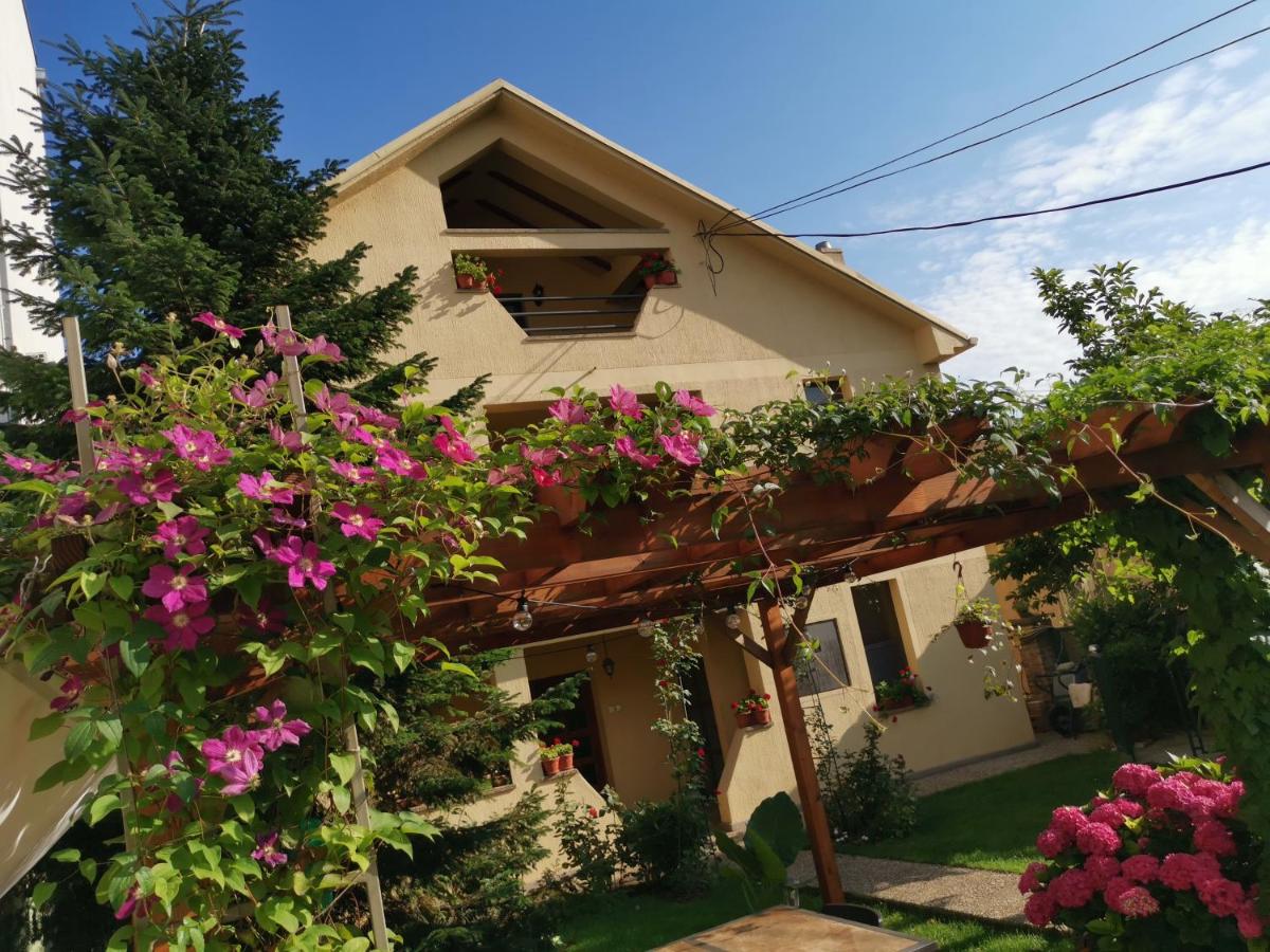 VUKAJLO apartment Belgrade - Bed and Breakfast