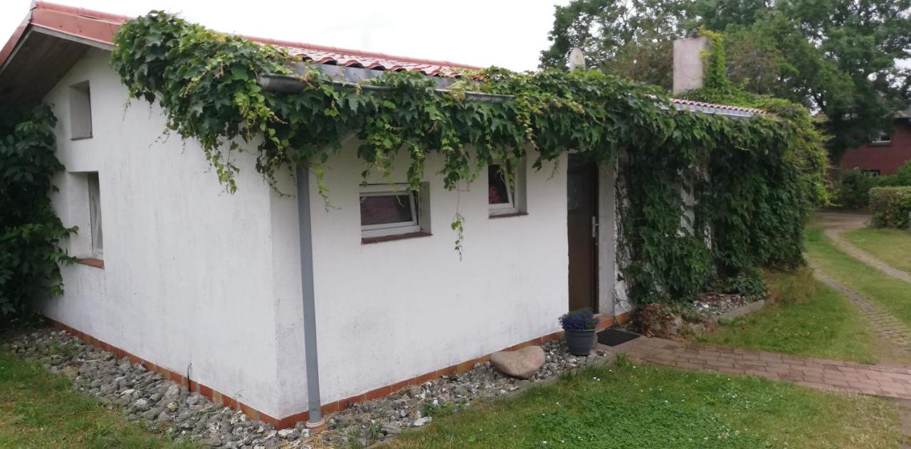 Drifthof - Ferienwohnung Glowe