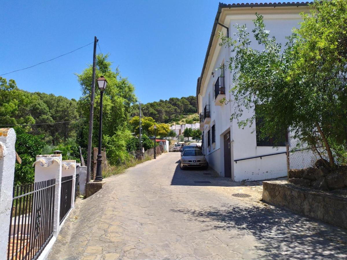 Vivienda Majaceite - B&B