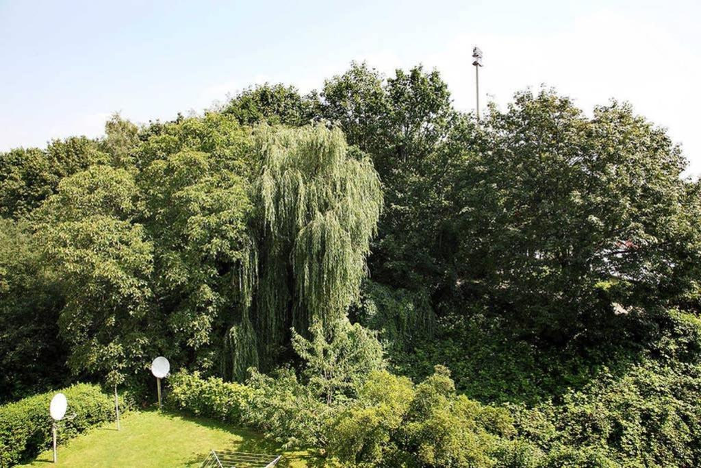City Apartments Cologne - Apartment 2 - Bed and Breakfast