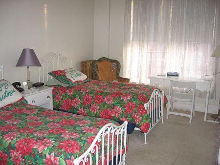 Standard Single Room with Two Single Beds