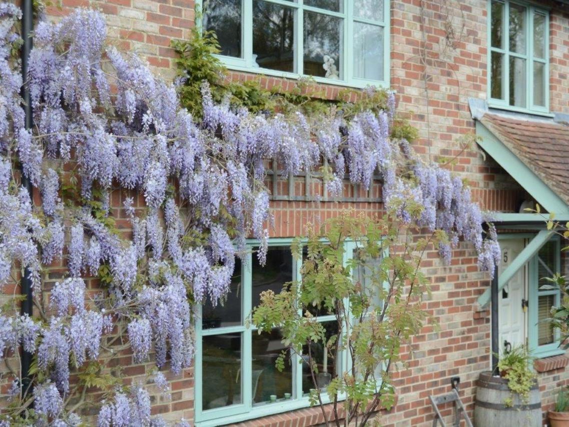 5 Charlton Mill Way B&B - B&B