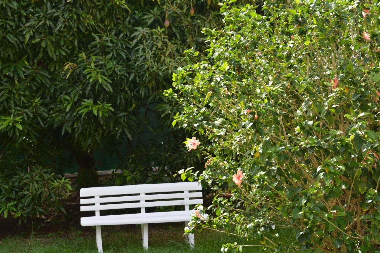 RESIDENCE DE VACANCES MON REFUGE - BUNGALOW DE TYPE T3 - B&B