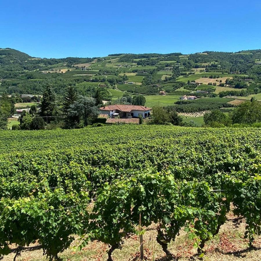 MAMOTA B&B - Chambres d’hôtes Vesime