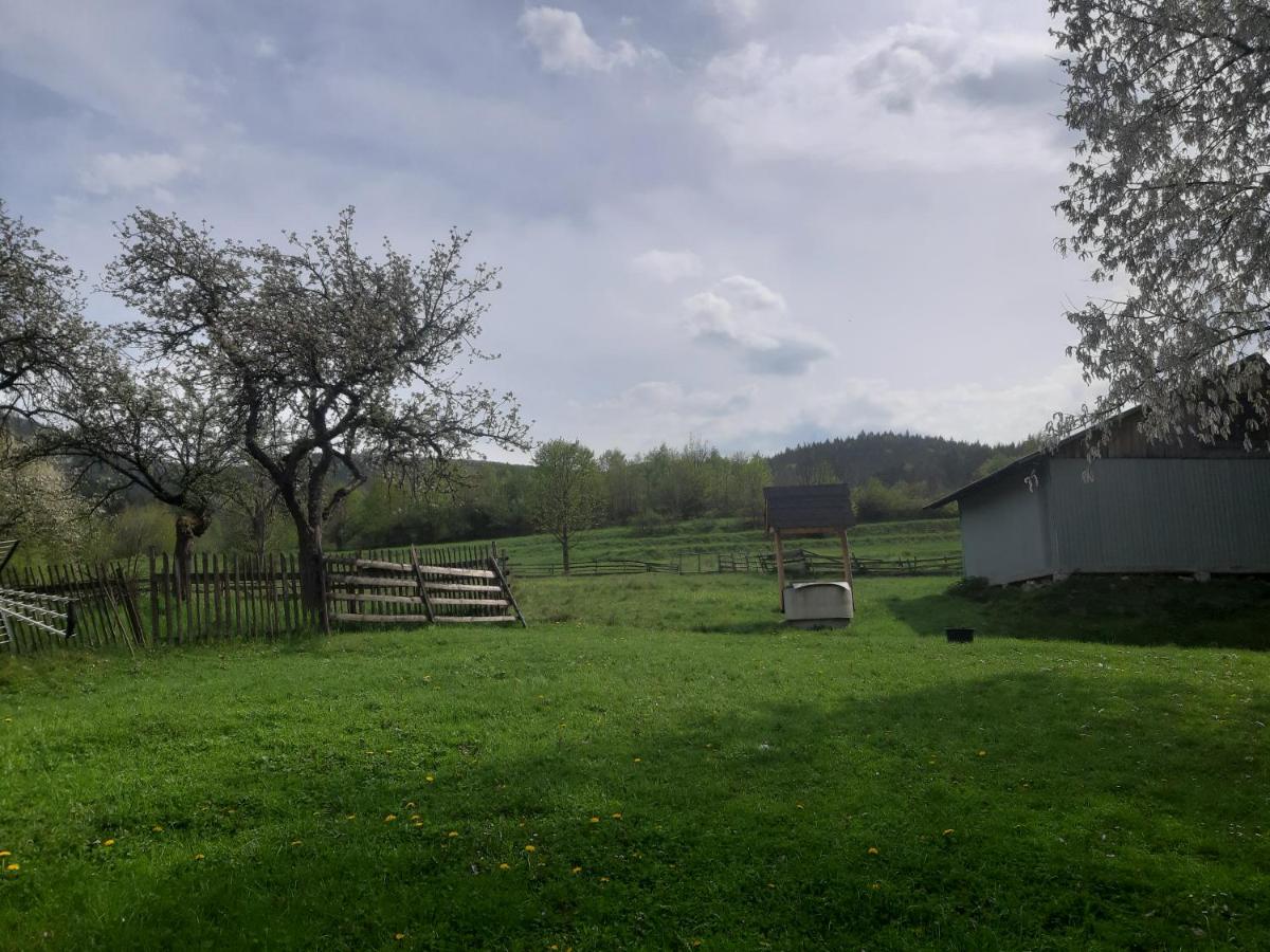 Domek pod Mogielicą - B&B