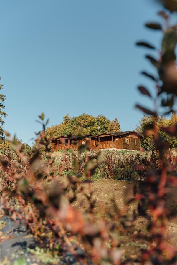 Deluxe Bungalow mit Gartenblick