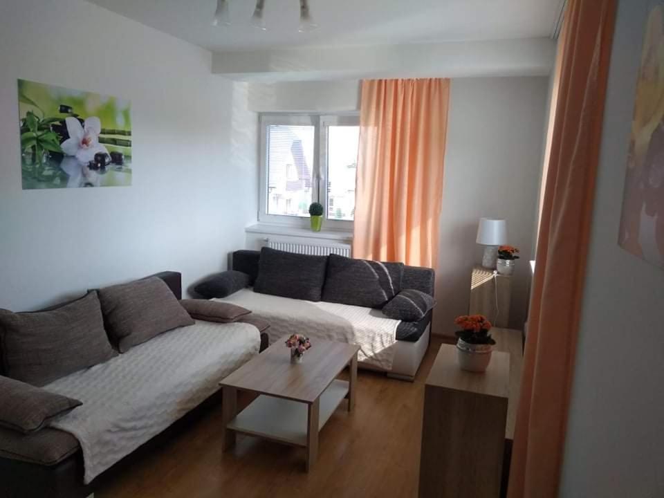 Appartement 1 Chambre