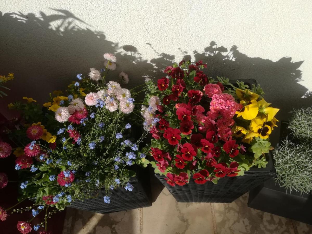 Studio mit Terrasse
