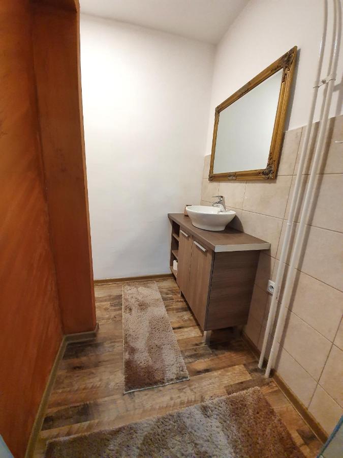City apartment and gym - Bed and Breakfast Niš