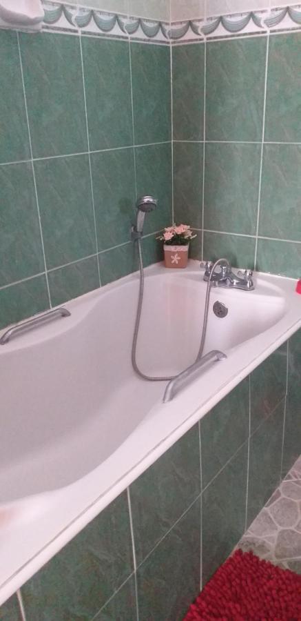 Kijani Studio - B&B