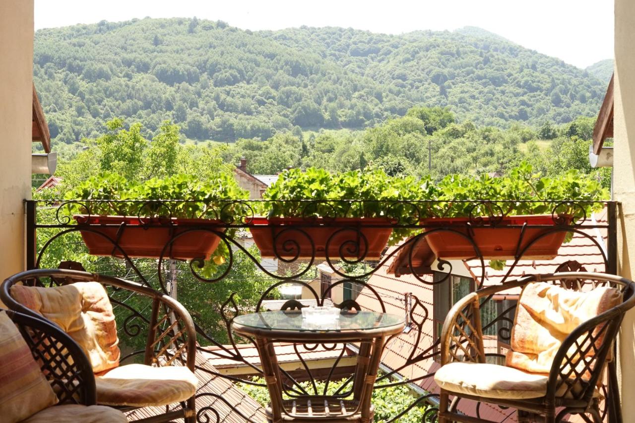 Casa Ciortea Ana - B&B