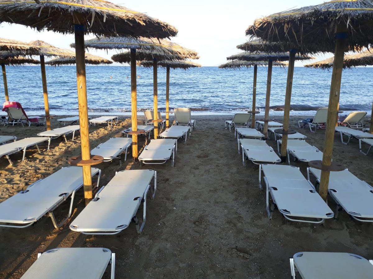Cozy flat in Nea Makri - Ferienwohnung