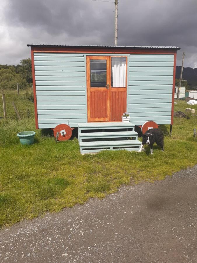 Croft of Clune Shepherds Hut - B&B