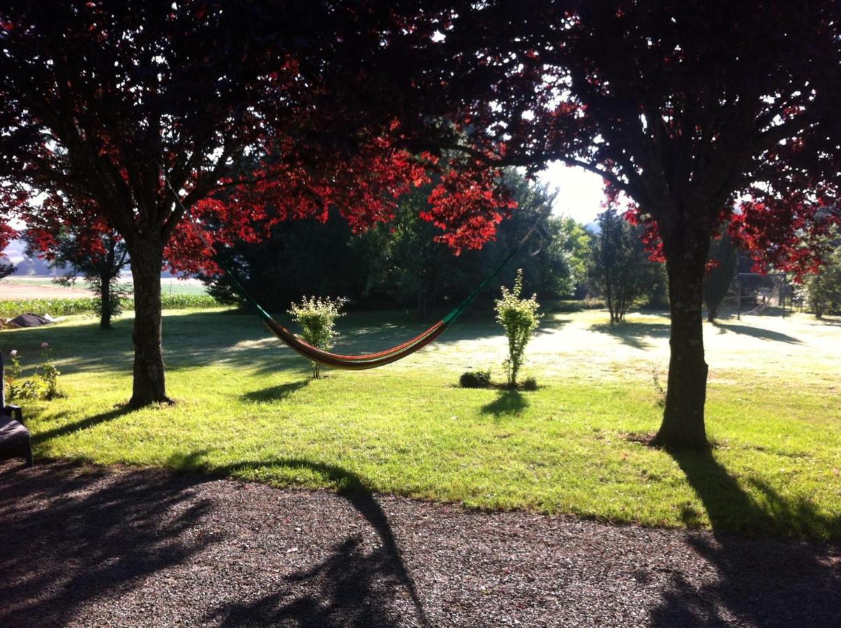Appartamento con Vista Giardino