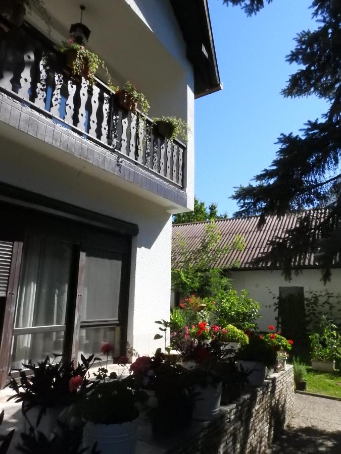 Haus Gizella - Chambres d’hôtes Harkány