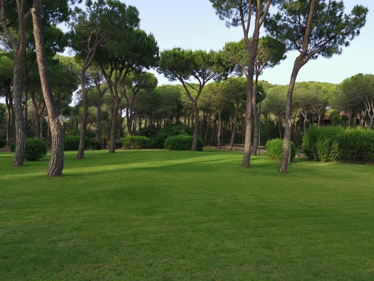 Villetta Graziosa sul mare ristrutturata - Ferienwohnung