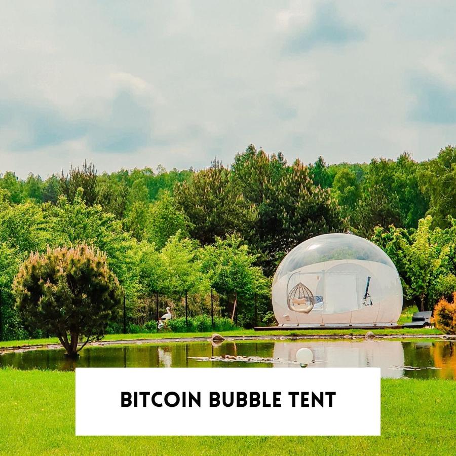 Bitcoin Bubble Tent
