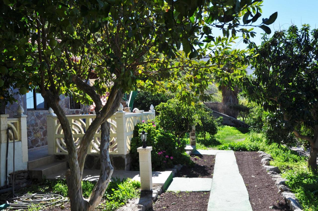 Finca Tomás y Puri