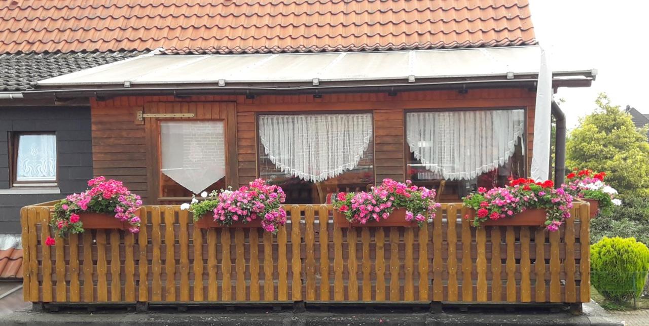 Ferienwohnung Lange - Ferienwohnung Bergen (Niedersachsen)