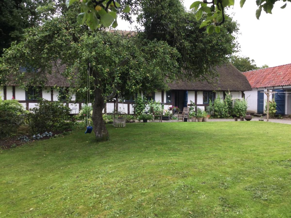 B&B Vester-Skerninge - Filippavej 80 - Bed and Breakfast Vester-Skerninge