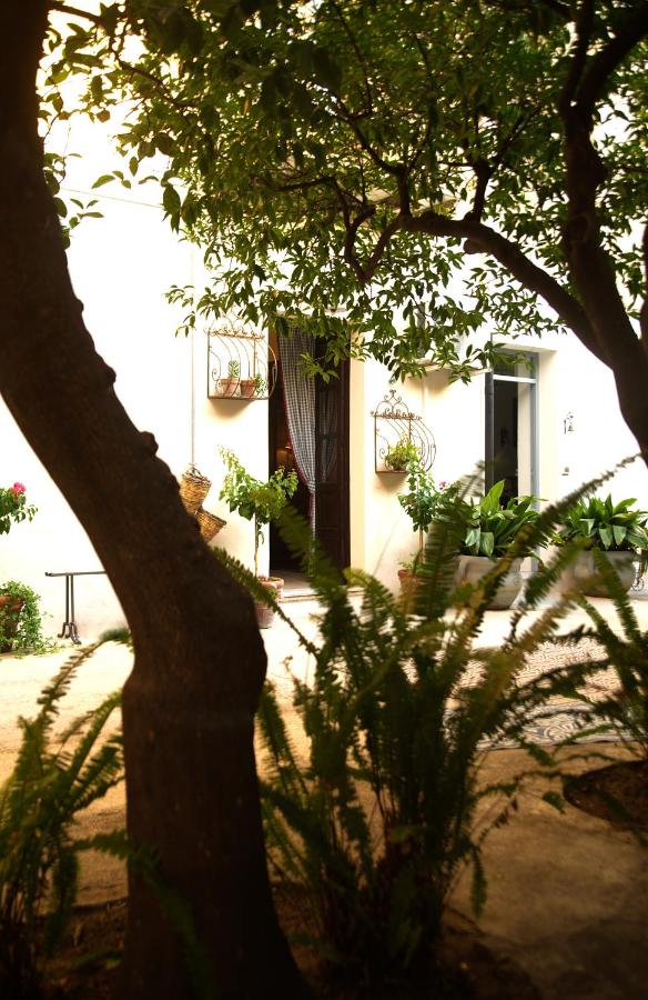 B&B del Giglio - B&B