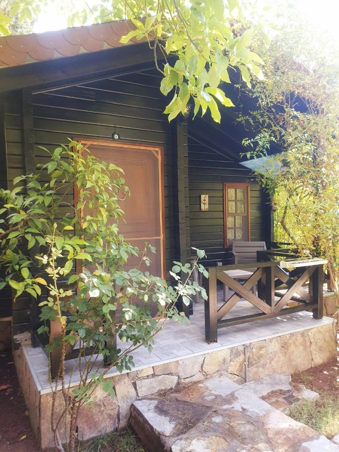 Portalimo Lodge Hotel - Adult Only +12 - Chambres d’hôtes Çıralı