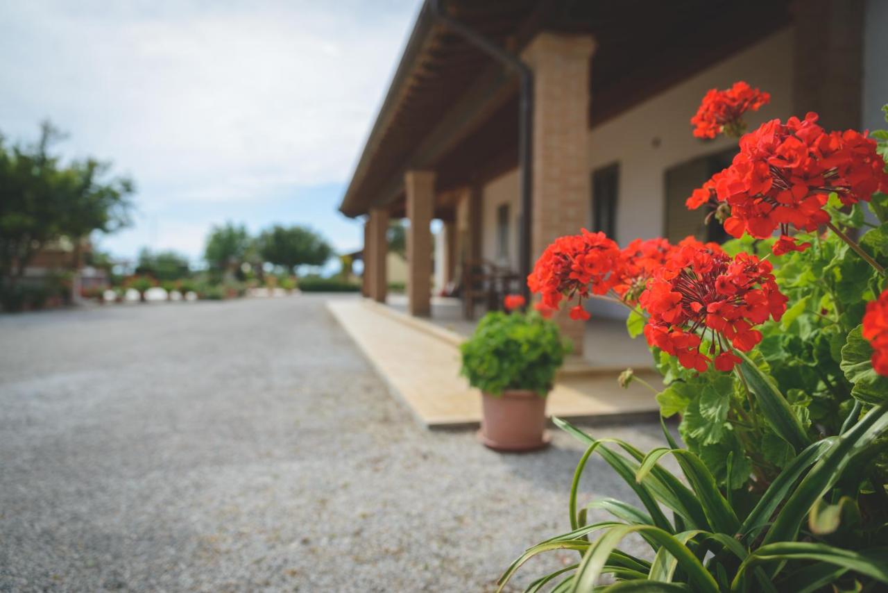 Agriturismo Corte degli Angeli - B&B Marina di Grosseto