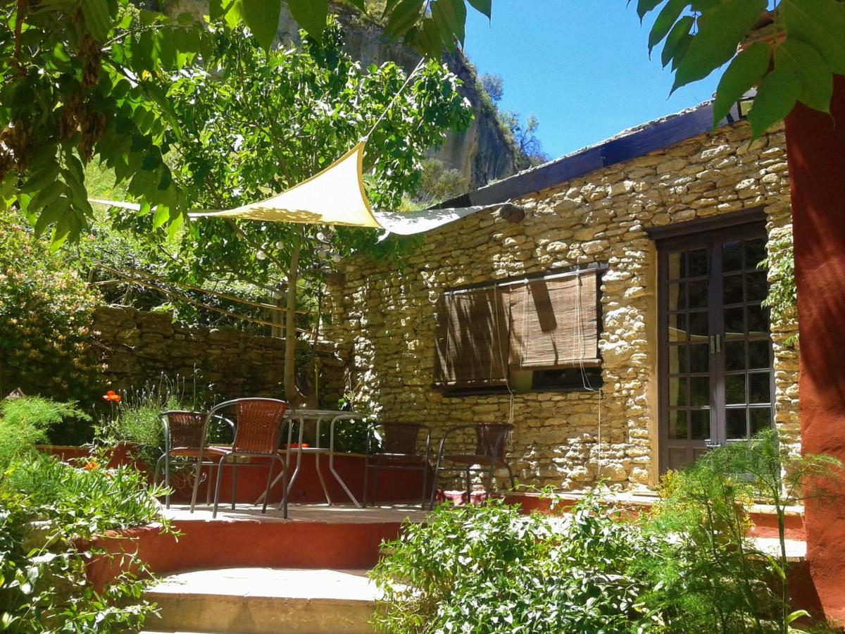 Studio with Terrace