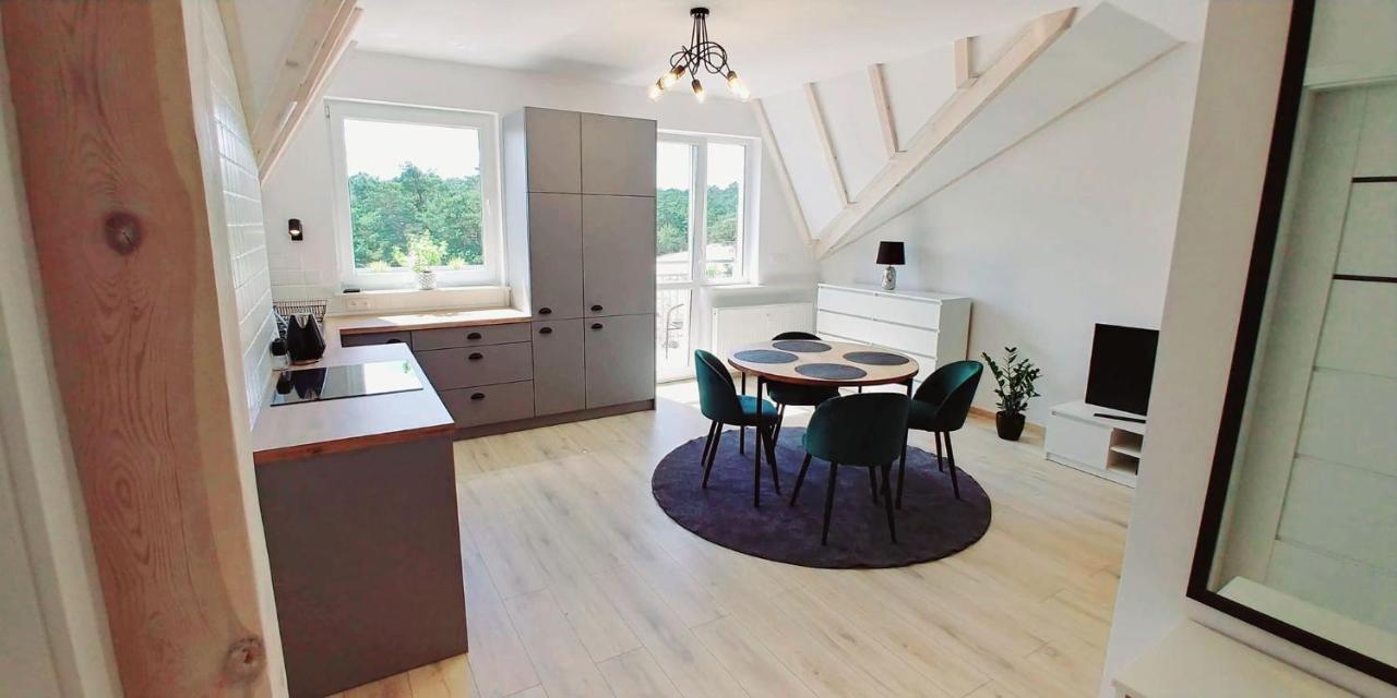 Apartament z widokiem na wydmę - B&B