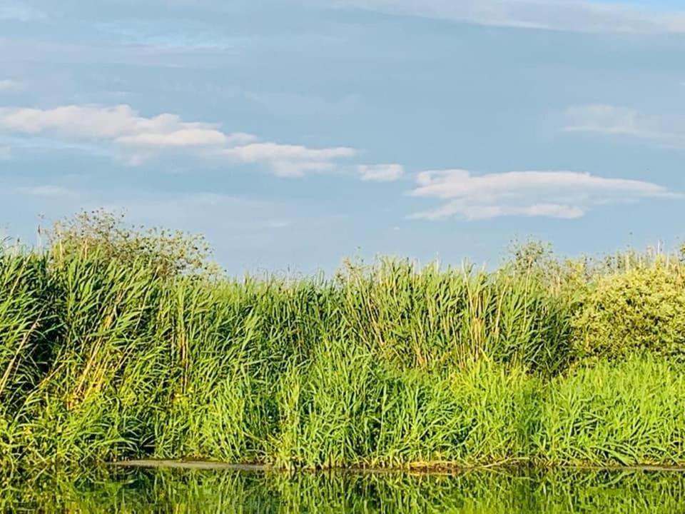 Ausflugsrestaurant & Pension Aalbude & Hausfloßvermietung 15 PS am Kummerower See-Verchen - B&B