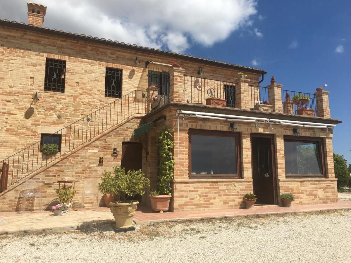 Colle dei Falchi - B&B Fermo