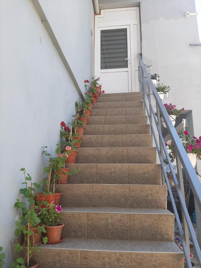 Casa camy - B&B