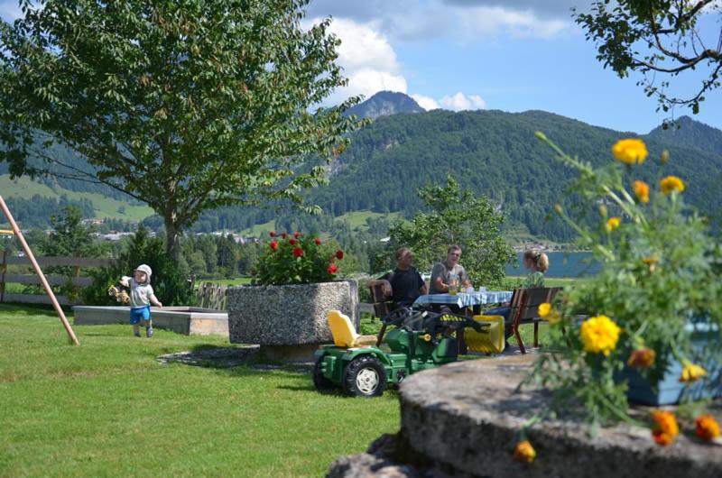 Kaiserwinkl Apartments Daxer - Ferienwohnung Walchsee