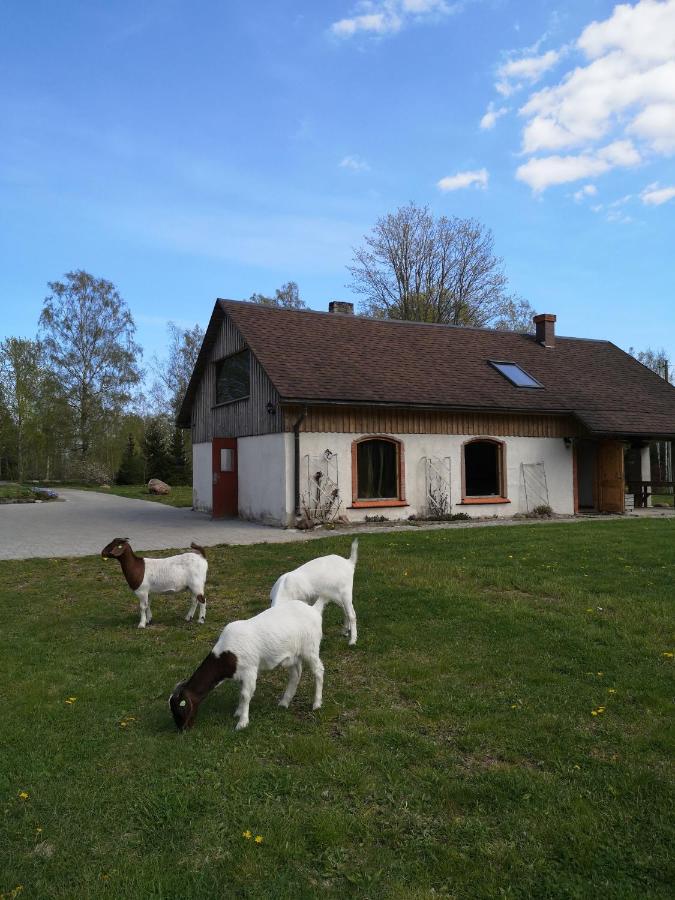 B&B Kaltene - Atpūtas Vieta Raudiņi - Bed and Breakfast Kaltene