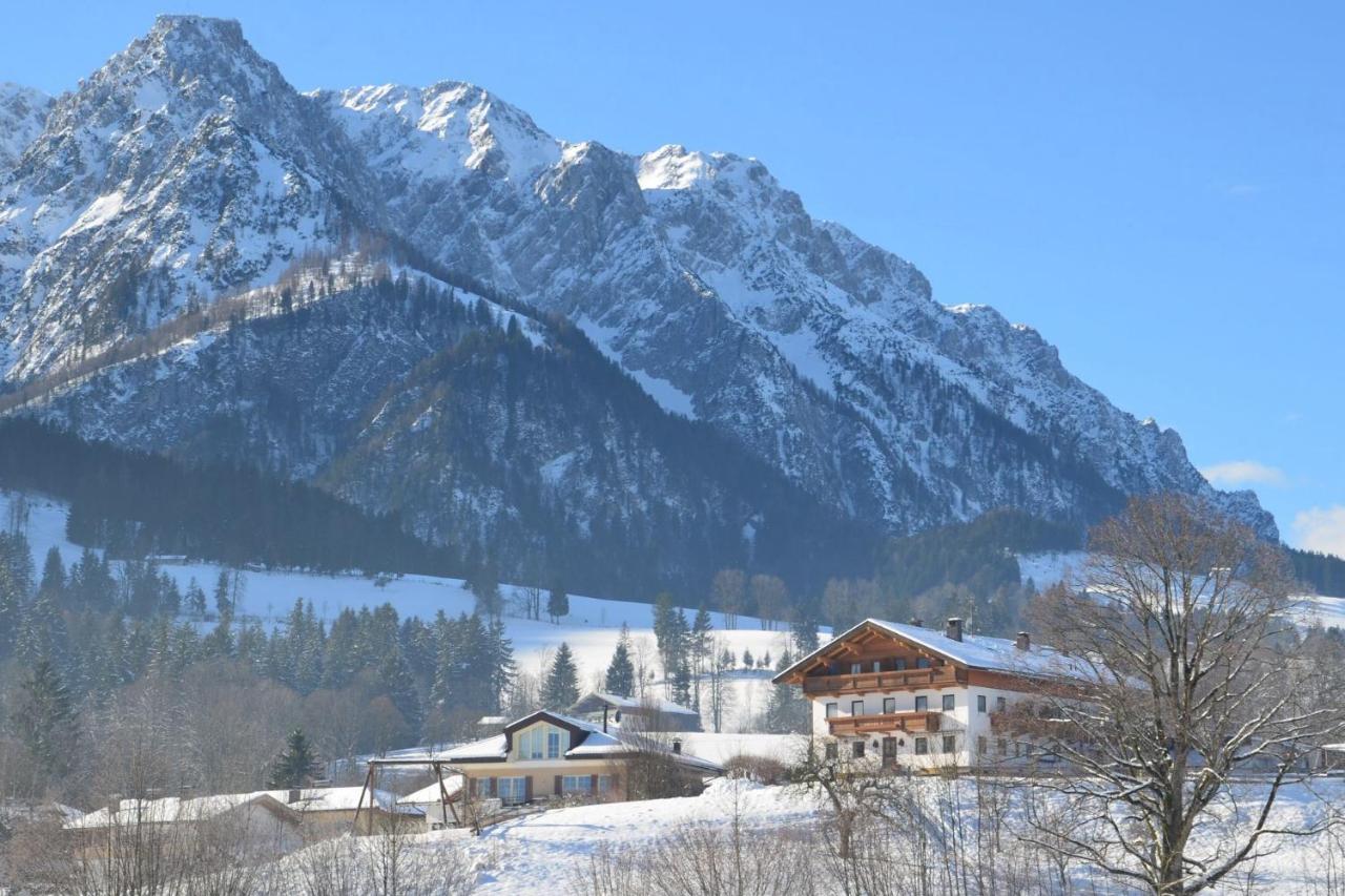 Kaiserwinkl Apartments Daxer - B&B Walchsee